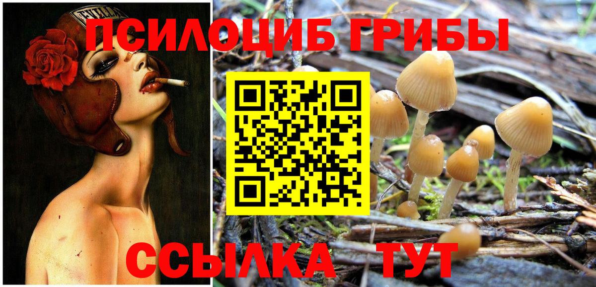 Псилоцибиновые грибы ЛСД Избербаш