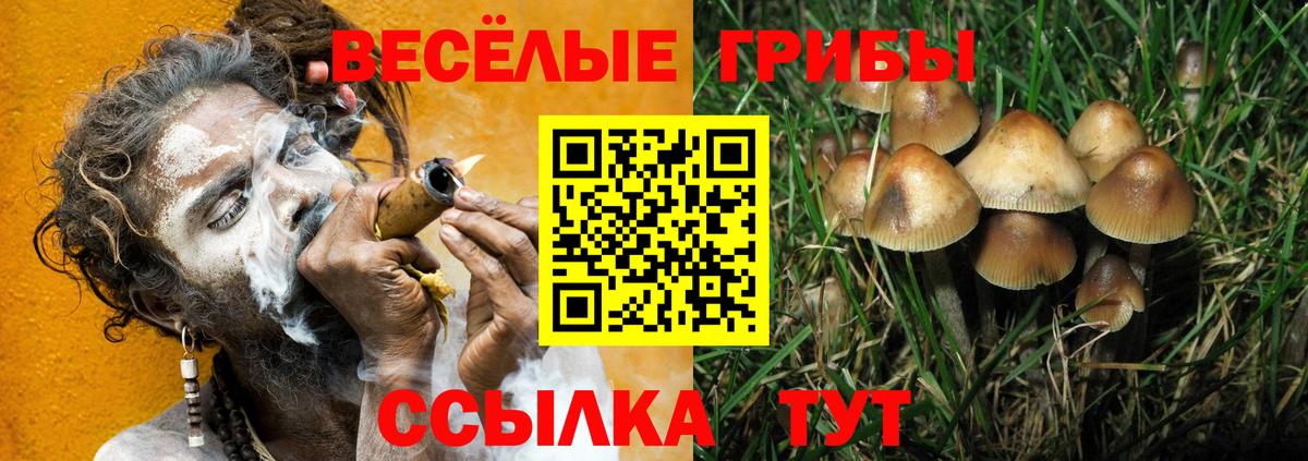 Избербаш  Галлюциногенные грибы мицелий  Галлюциногенные грибы прущие грибы  Вход с VPN 